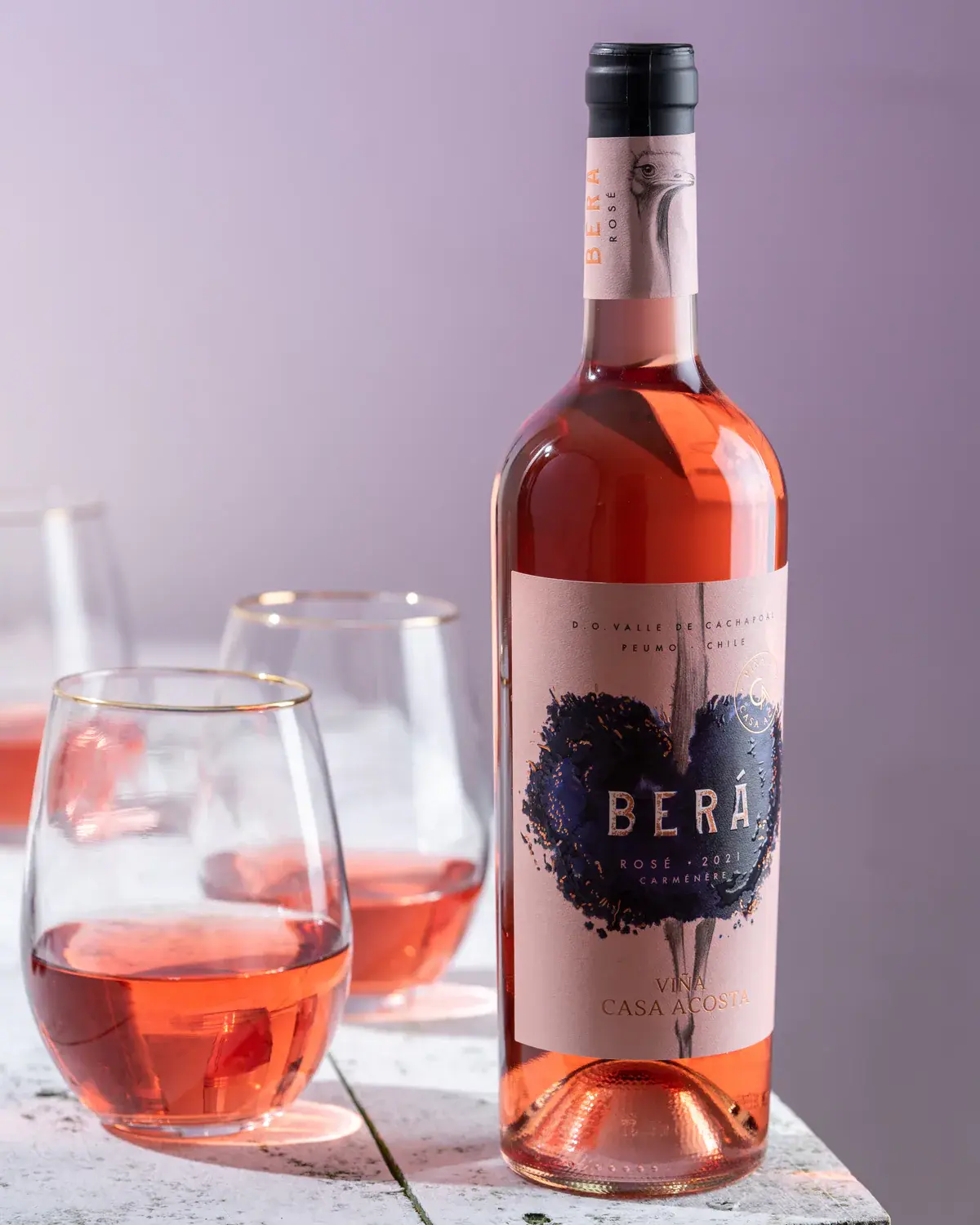 Berá collection — Viña Casa Acosta vineyard
