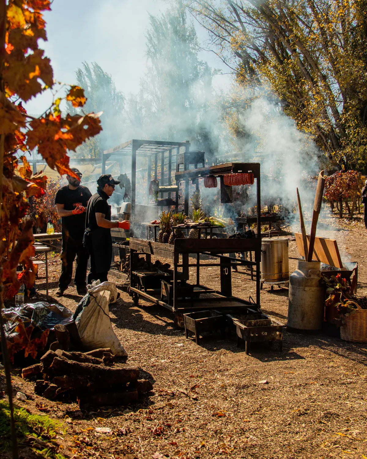 An outdoor barbecue among the vineyards
