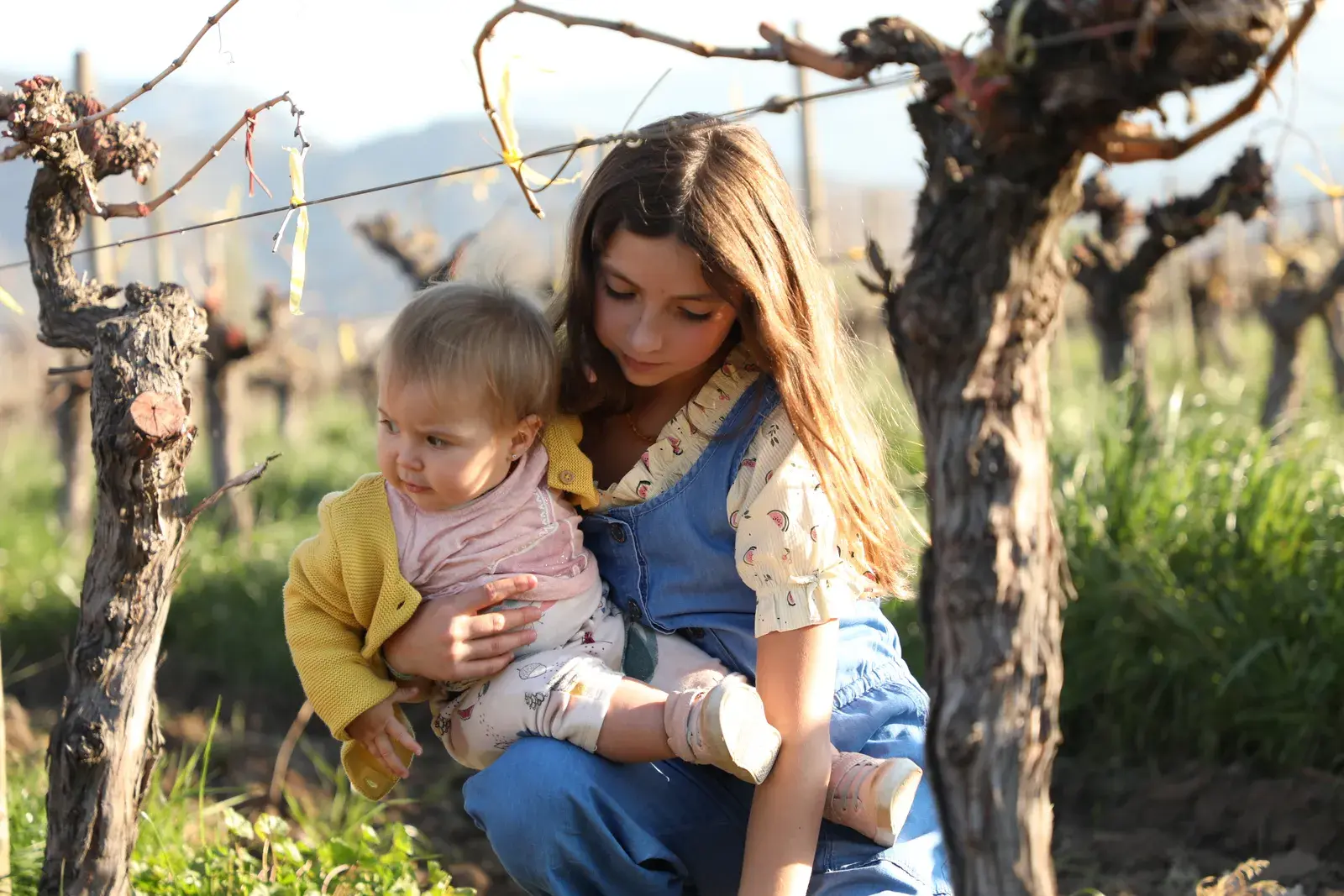 A girl holding a baby among the estate's vines, backlit by the evening sun