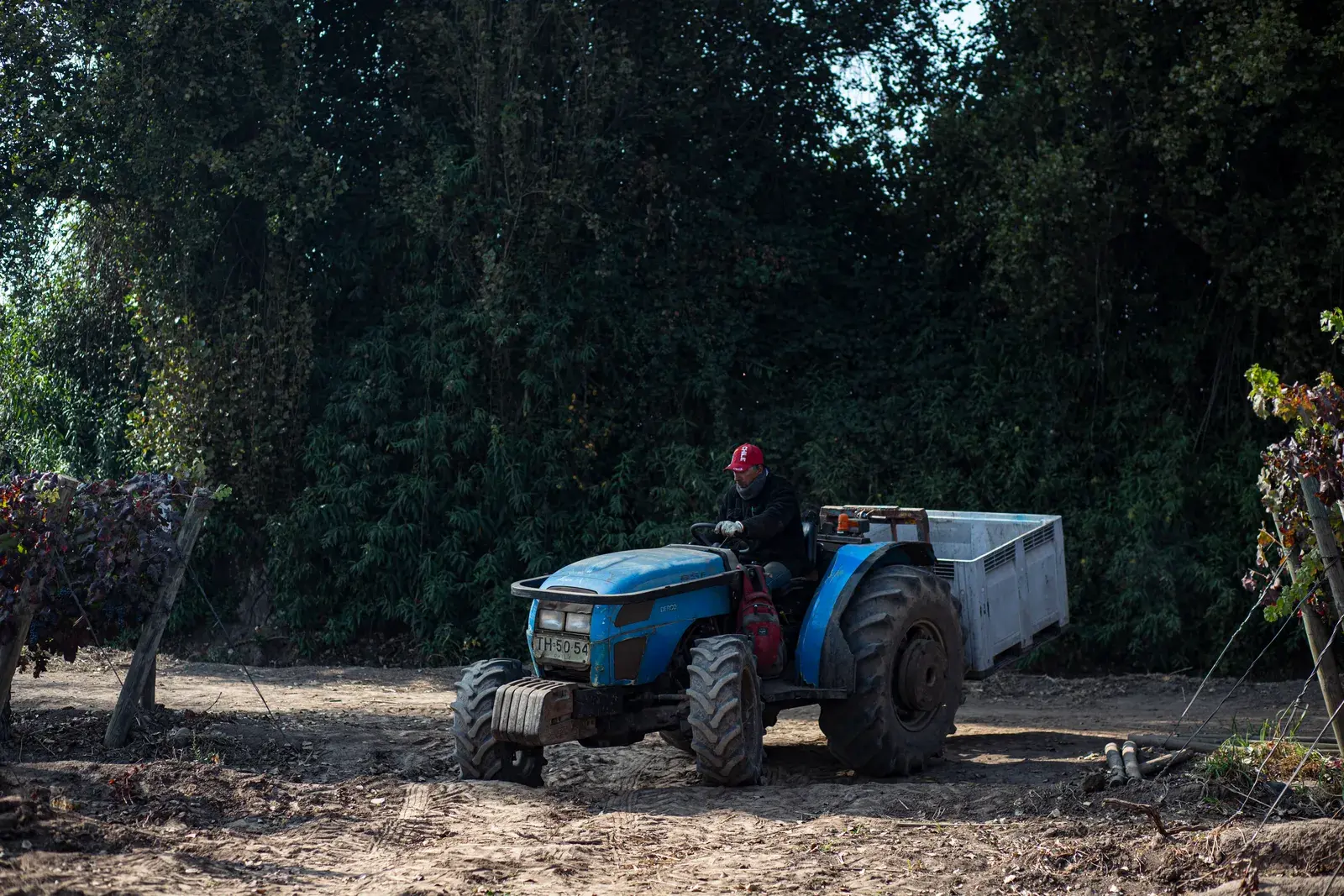 Nelson Acosta working the land on his tractor