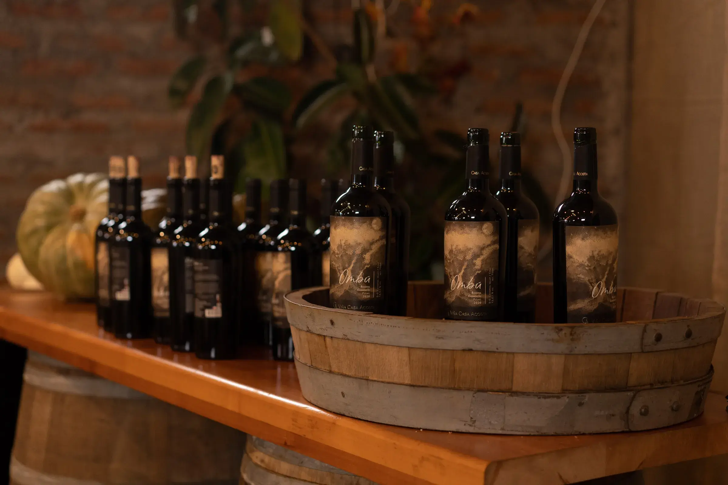 Bottles of the Ombú Reserva line