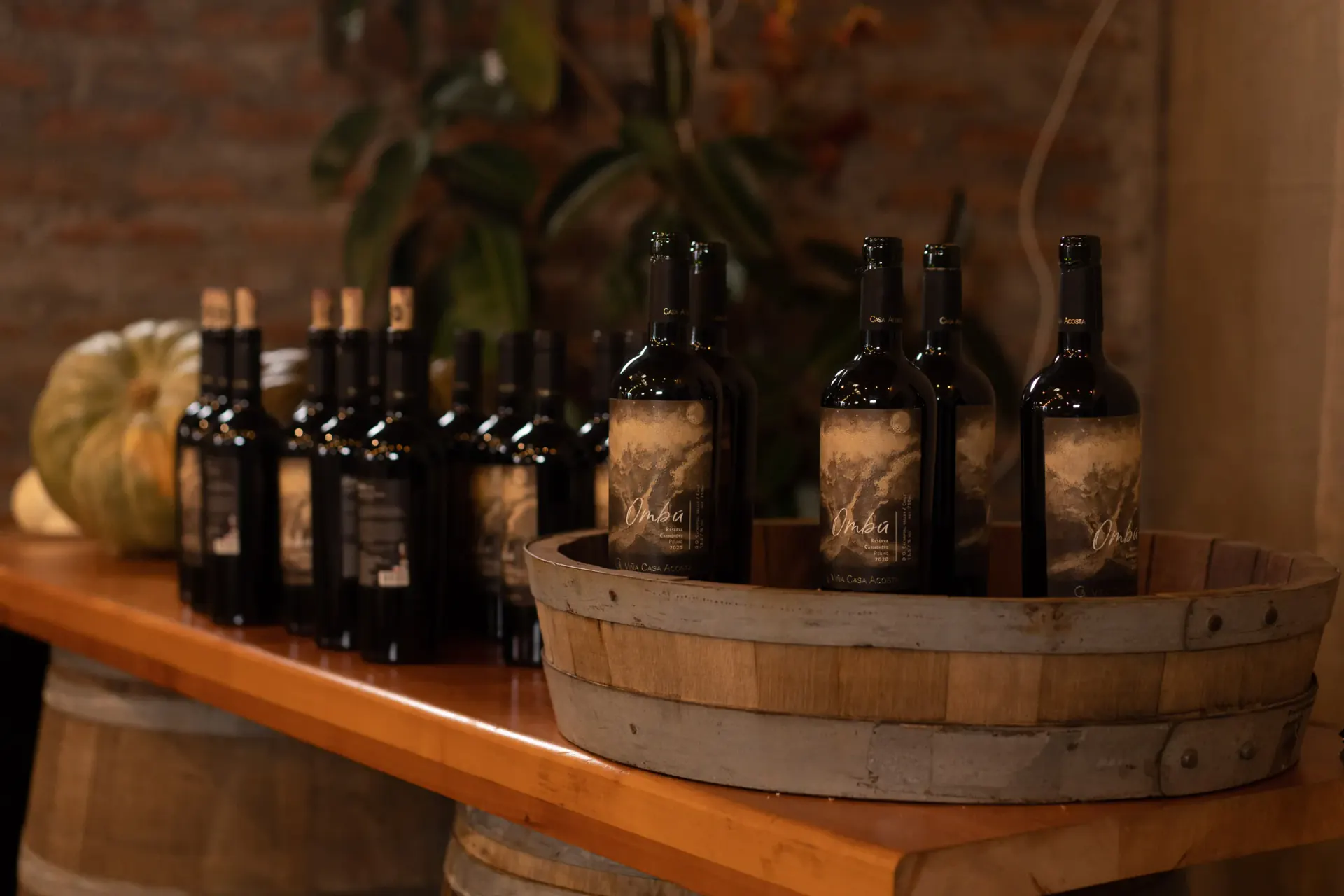 Bottles of Viña Casa Acosta's Ombú Reserva Carménère on a wooden table, lit with warm light